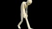 Sad Walk 3D Character Animation