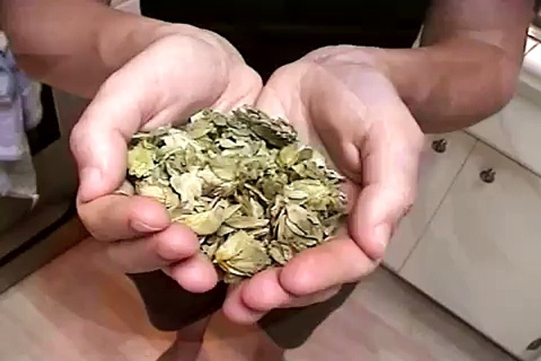 Home Brew Stout Beer Recipe : What is Stout Beer?