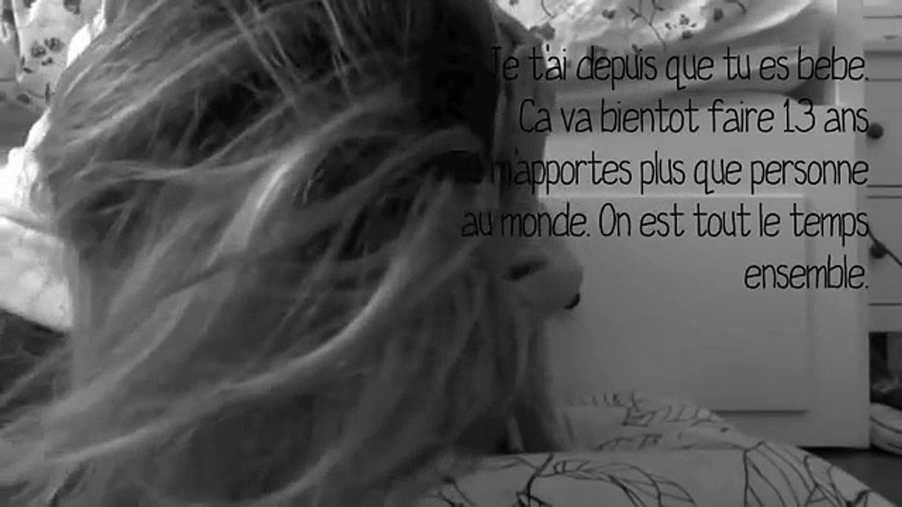 ♥ rocky mon étoile ♥