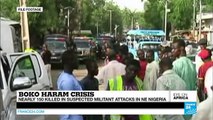 Around 150 killed in suspected Boko Haram attacks in north-east Nigeria
