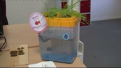 Jeune entrepreneur: Création d’un aquarium inédit (Toulouse)