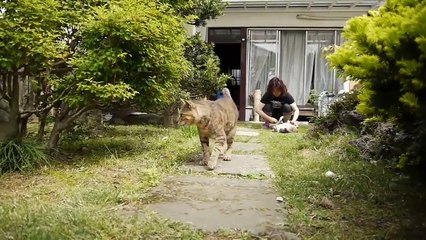 DMC-GH1 50%Slow motion