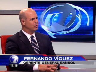 Gerente Actual, Fernando Víquez de Bansol