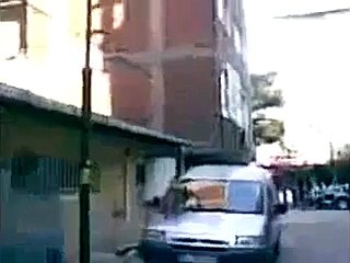 Burro Mula Cruza Apareamiento de Gatos y Caballo