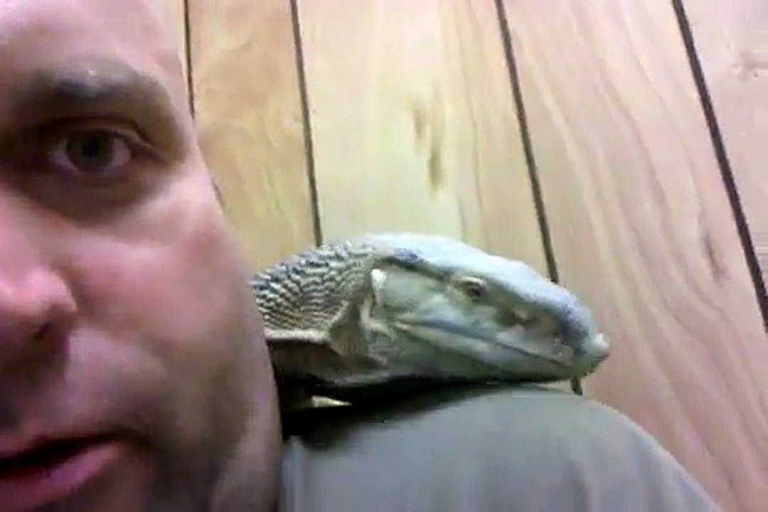 Fatal Attraction!!! :-) Animal Planet here we come!!!