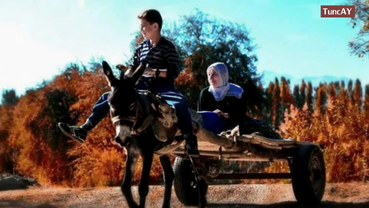 Selda Bagcan-Ah Yalan Dünyada