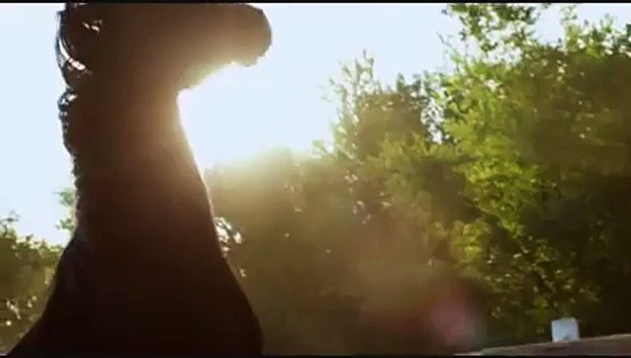 ° On ne renonce jamais aux chevaux ...