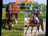 Lancano ein pferd was ich über alles liebe aber nicht mehr bei ihm sein kann :'(