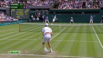 Wimbledon 2015 Roger Federer vs Sam Querrey AMAZING POINT