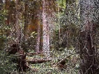 "Var jag går i skogar, berg och dalar", Mirja Burlin