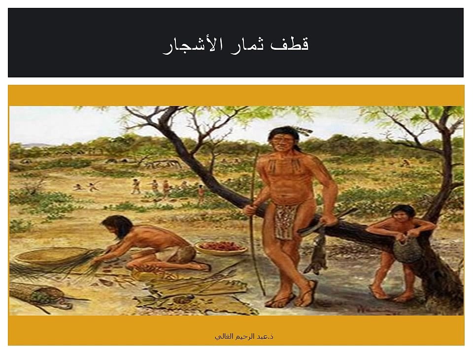 الإنسان البدائي  حياته ، مسكنه ، أدواته