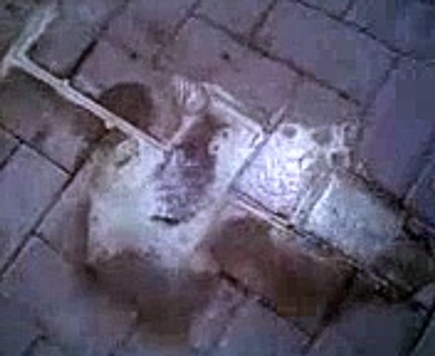 Acido muriatico - Come togliere le macchie d'olio del motore