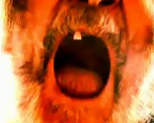 Hommage ante-mortem à Markus Jura Suisse