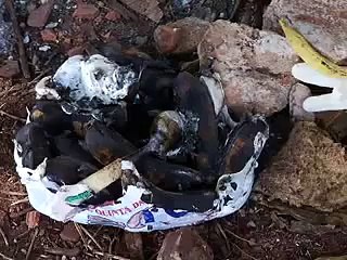 Jornal Local - Testemunha Queima Mendigos