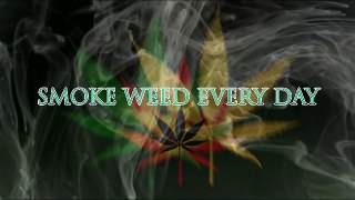 Smoke weed everyday remixed lyrics