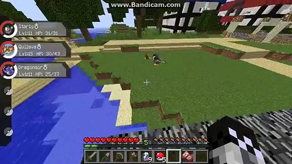 Minecraft Pixelmon - Race to 251 HO-OH SPAWN!!! Ep.10 (Pokemon in  Minecraft) - video Dailymotion