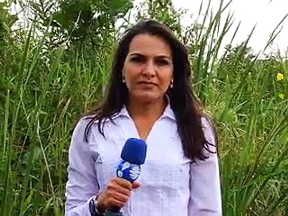Jornal local: ponte sobradinho