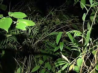 Jornal Local - Assassinato Bosque