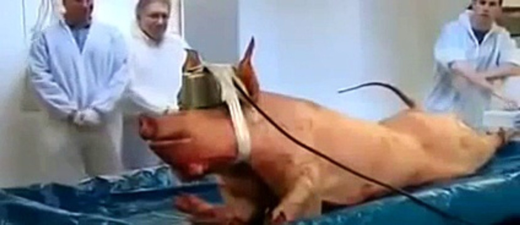 How to Kill a Human Being