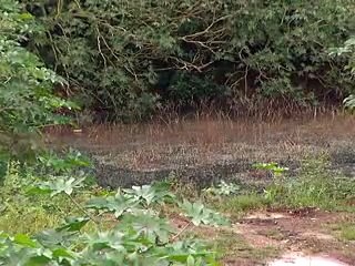 JL - VT MAU CHEIRO SOBRADINHO