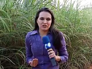 Jornal Local: Homem mata ladrão