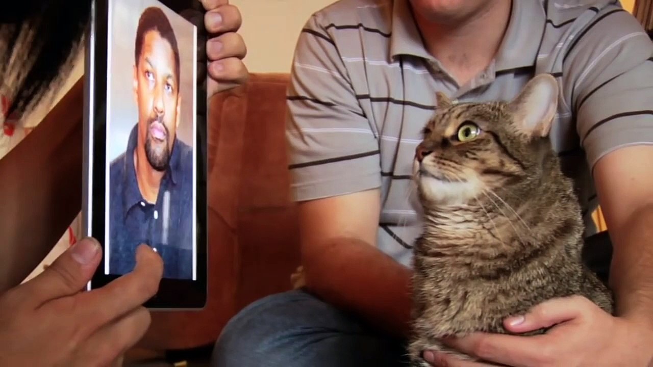 Racist Cat