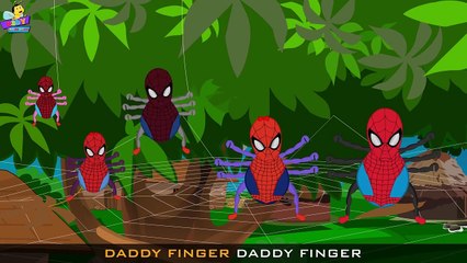 Finger Family Funny Spider Family | Finger Family Songs for Children | Finger Family