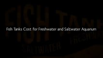 Fish Tank Guide - How to choose Aquarium fish tank -Saltwater Vs Freshwater