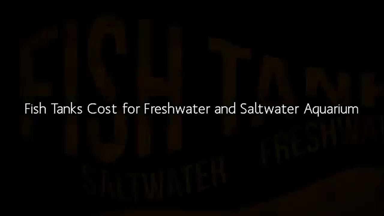Fish Tank Guide - How to choose Aquarium fish tank -Saltwater Vs Freshwater
