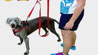 Most Popular Double Leashes to buy