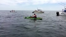 Un requin retourne le kayak d'un pecheur qui tente de le remonter