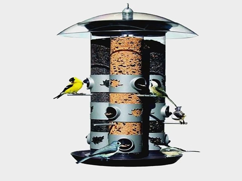 Most Popular Insect Feeders to buy