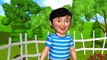 Baa Baa Black Sheep - 3D Animation - English Nursery rhymes - 3d Rhymes -  Kids Rhymes - Rhymes for childrens