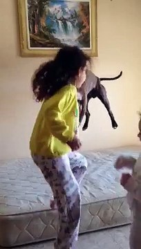 Pitbull jumps on mastress with two little girls is adorable