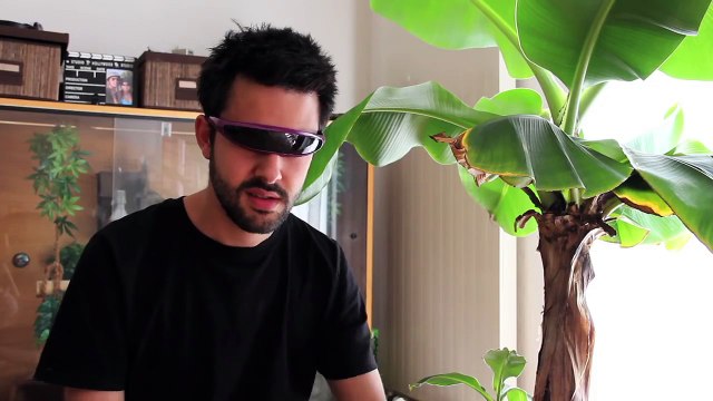 Cafard dans un lave-vaisselle - les étranges expériences