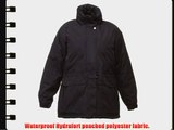 Regatta Ladies/Womens Darby II Waterproof Windproof Jacket (Thermoguard Insulation) (20 UK)
