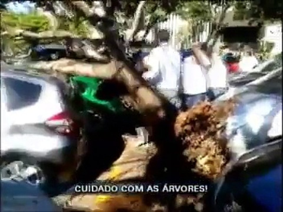 Perigo verde