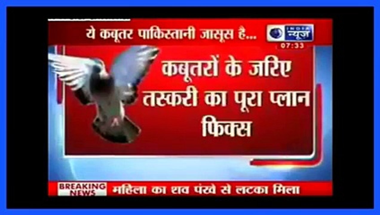پاکستان بھارت میں جاسوسی کیلئے کبوتربھجوارہا ہے۔ انڈین میڈیا کا نیا شوشہ، آپ بھی دیکھئے اور ہنسئے انڈین میڈیا کے بھونڈے الزام پر