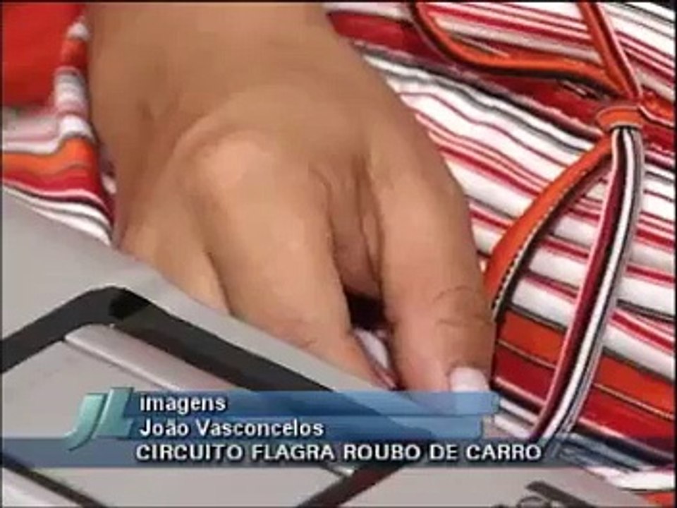 Samambaia