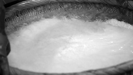 Brewed in Kyoto with Shuhari Spirit