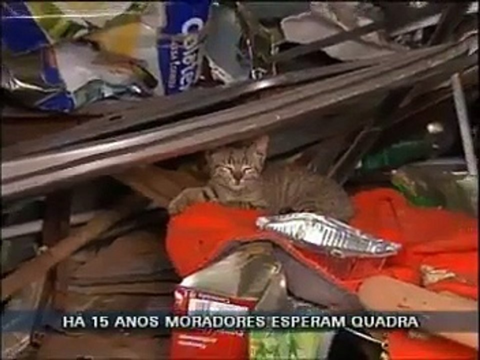 Abandono