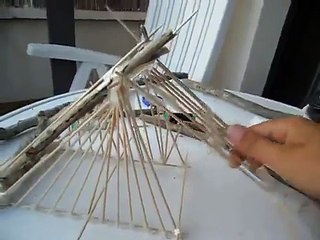 Como hacer una trampa para pajaros rapido