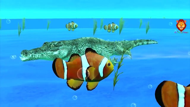 Shark Finger Family Children Rhymes | Crocodile Finger Family Nursery Songs | Animals Cartoons