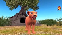 Cartoon Lion Finger Family Songs  |Tiger Daddy Finger Nursery  Songs |Deer Animals Finger Family