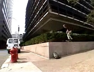 Dumb Shit