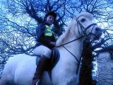me riding 15.1hh welsh cob show horse and 12hh showjumper