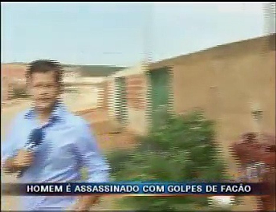 Samambaia