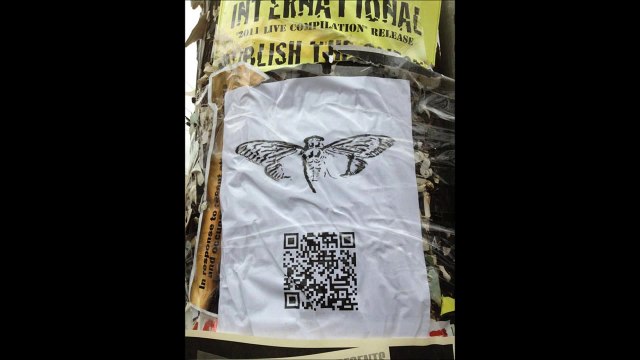 Cicada 3301 Song: The Instar Emergence (761)