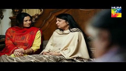 Aye Zindagi Episode 17 Full HUM TV Drama 02 July 2015