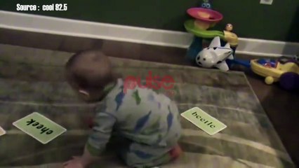 16 month old baby displays genius skills - cool 92.5, Pulse TV Uncut